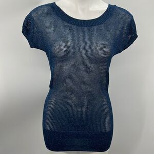Express midnight shimmer blue see through knit top